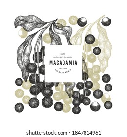 Hand drawn macadamia branch and kernels design template. Organic food vector illustration on white background. Retro nut illustration. Engraved style botanical banner.