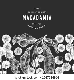 Hand drawn macadamia branch and kernels design template. Organic food vector illustration on chalk board. Vintage nut illustration. Engraved style botanical banner.