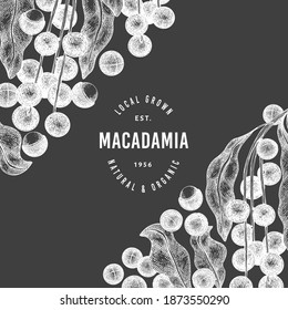 Hand drawn macadamia branch and kernels design template. Organic food vector illustration on chalk board. Vintage nut illustration. Engraved style botanical banner.