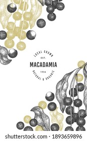 Handgezeichnete Makadamia-Filiale und Kernel-Design-Vorlage. Organische Lebensmittelvektorgrafik auf weißem Hintergrund. Retro-Nuss-Illustration. Botanischer Banner im Stilstil.