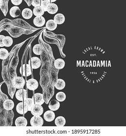 Plantilla de diseño de ramas y núcleos de macadamia dibujada a mano. Ilustración vectorial de alimentos orgánicos en pizarra de tiza. Ilustración de tuerca de vintage. Banner botánico de estilo grabado.