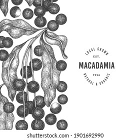 Hand drawn macadamia branch and kernels design template. Organic food vector illustration on white background. Retro nut illustration. Engraved style botanical banner.