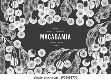 Plantilla de diseño de ramas y núcleos de macadamia dibujada a mano. Ilustración vectorial de alimentos orgánicos en pizarra de tiza. Ilustración de tuerca de vintage. Banner botánico de estilo grabado.
