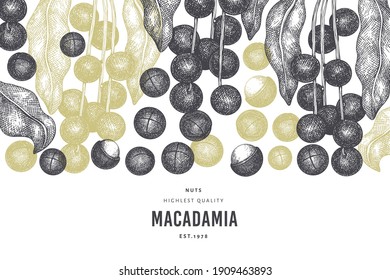 Plantilla de diseño de ramas y núcleos de macadamia dibujada a mano. Ilustración vectorial de alimentos orgánicos sobre fondo blanco. Ilustración de tuerca retro. Banner botánico de estilo grabado.
