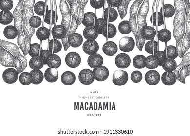 Handgezeichnete Makadamia-Filiale und Kernel-Design-Vorlage. Organische Lebensmittelvektorgrafik auf weißem Hintergrund. Retro-Nuss-Illustration. Botanischer Banner im Stilstil.