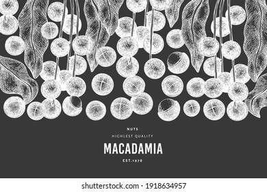 Handgezeichnete Makadamia-Filiale und Kernel-Design-Vorlage. Bio-Lebensmittel-Vektorgrafik auf Kreidebrett. Vintage-Nuss-Illustration. Botanischer Banner im Stilstil.