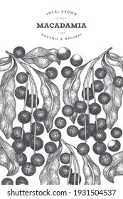 Plantilla de diseño de ramas y núcleos de macadamia dibujada a mano. Ilustración vectorial de alimentos orgánicos sobre fondo blanco. Ilustración de tuerca retro. Banner botánico de estilo grabado.