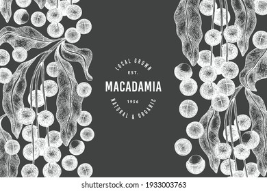 Hand drawn macadamia branch and kernels design template. Organic food vector illustration on chalk board. Vintage nut illustration. Engraved style botanical banner.