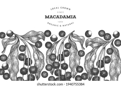 Hand drawn macadamia branch and kernels design template. Organic food vector illustration on white background. Retro nut illustration. Engraved style botanical banner.