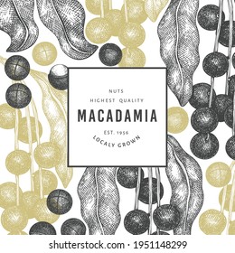 Handgezeichnete Makadamia-Filiale und Kernel-Design-Vorlage. Organische Lebensmittelvektorgrafik auf weißem Hintergrund. Retro-Nuss-Illustration. Botanischer Banner im Stilstil.