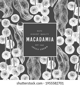 Hand drawn macadamia branch and kernels design template. Organic food vector illustration on chalk board. Vintage nut illustration. Engraved style botanical banner.