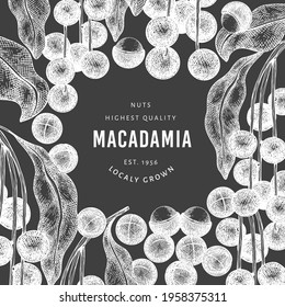 Hand drawn macadamia branch and kernels design template. Organic food vector illustration on chalk board. Vintage nut illustration. Engraved style botanical banner.