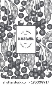 Hand drawn macadamia branch and kernels design template. Organic food vector illustration on white background. Retro nut illustration. Engraved style botanical banner.