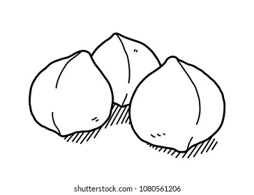 Hand Drawn Macadamia Nuts Doodle, a hand drawn vector doodle illustration of three macadamia nuts.