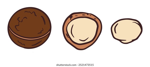Hand drawn Macadamia. Peeled, whole nuts,  nut in shell, whole kernel and half illustrations for poster, banner, recipe card, menu, food package design
Vector white and black sketch illustration