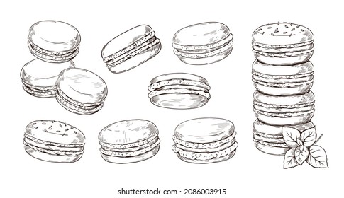 Hand drawn macaron. French biscuit dessert of almond flour. Vintage macaroon etching. Restaurant and cafe pastry. View from different edges and stack of cookies. Vector bakery sketches set