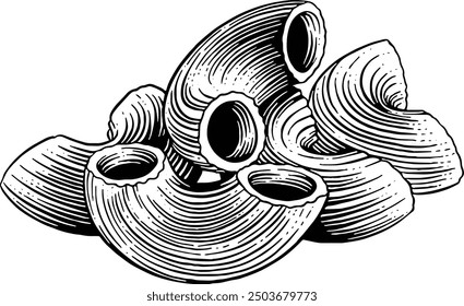 Hand drawn Macaroni Pasta Shells Sketch Illustration