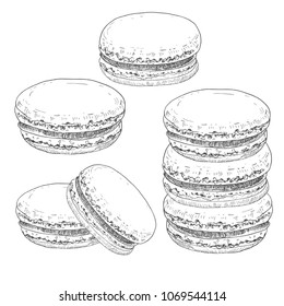 Hand drawn macarons french sweets, etching ink line art set isolated on white background. Vector vintage illustration.