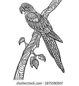 Hand drawn of Macaw bird  zentangle arts . vector illustration