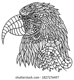 Hand drawn of macaw head in zentangle style