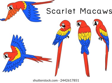 Hand drawn Macaw Illustration Material Set
