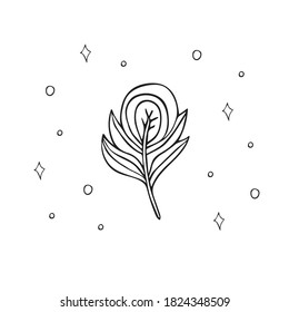 hand drawn magic feather isolated black and white clip art. hand drawn boho feather.Boho sticker. 