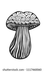 Hand drawn magic mushroom for adult anti stress Coloring Page with high details isolated on white background, illustration in zentangle style. Vector monochrome sketch.