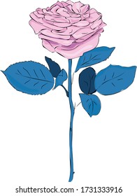 rosa mágico dibujado a mano con hojas azules