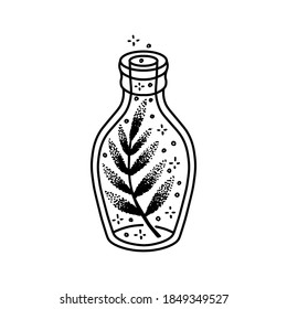 Hand drawn magical bottle with twig vector