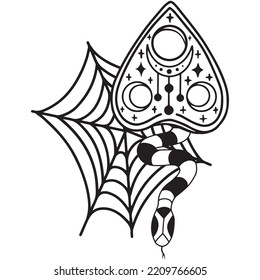 Hand drawn magical composition with snake, spider web and ouija board