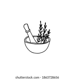 Hand drawn magical herbs and twigs vector