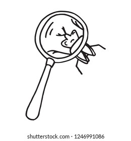 Hand drawn magnifier doodle. Sketch Back to school, icon