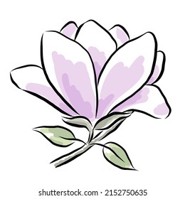 Hand drawn magnolia flower with leaves