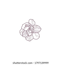 Hand drawn magnolia flowers for greeting or wedding card