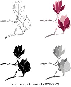 Hand drawn magnolia flowers made in vector in four styles. Fully editable design floral elements. Easy to edit and recolor.