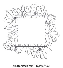 Hand drawn magnolia flowers on  white background. Vector frame.