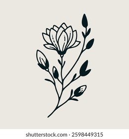 Hand drawn magnolia sketch, buds flower, leaf, set of flowers vector, illustration outline drawing, botanical black and white line art, lineart leaves and stems in engraving style