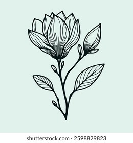 Hand drawn magnolia sketch, buds flower, leaf, set of flowers vector, illustration outline drawing, botanical black and white line art, lineart leaves and stems in engraving style