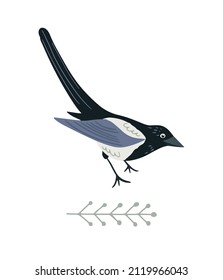 Hand drawn magpie bird in flat style , isolated vector illustration