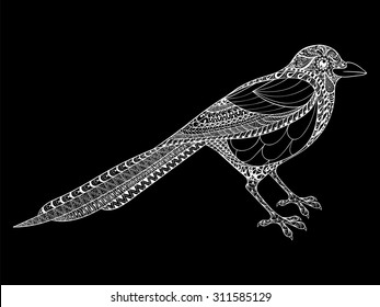 Hand drawn Magpie illustration for adult anti stress Coloring Page with high details isolated on black background, in zentangle style. Vector monochrome sketch. Bird collection.