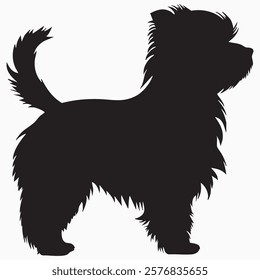 Hand drawn Maltese dog silhouette