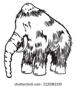 Hand drawn mammoth. Sketch of Mammuthus primigenius, black and white illustration. Vector, sketch illustration of mammoth