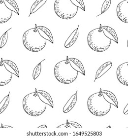 Hand drawn mandarins, oranges seamless. Pattern with outline citruses. Fresh fruits background. Wallpaper with sketch fruits.