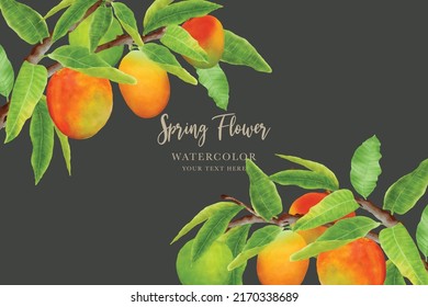 hand drawn Mango fruit background design