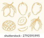 Hand drawn mango fruit collection featuring whole mangoes, slices, leaves, and mango sticky rice style dessert elements. Tropical fruit line art illustration for food and summer projects.