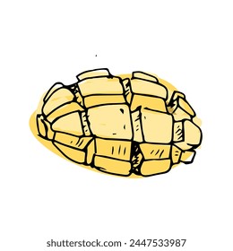 Hand drawn Mango fruit cut in sketch art illustration. Vector illustration of tropical fruit for healthy - mango. Ink paint art in vintage style. 