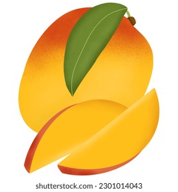 ilustración manual de frutos de mango