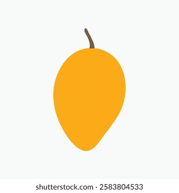  Hand drawn mango fruit illustration
