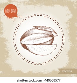 Hand drawn mango fruit with leaf and part of mango. Sketch style vector illustration on rough old background. Eco food.
