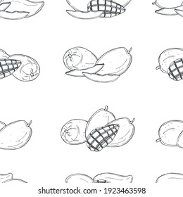 Hand drawn mango fruit on white background.Vector  seamless pattern. 